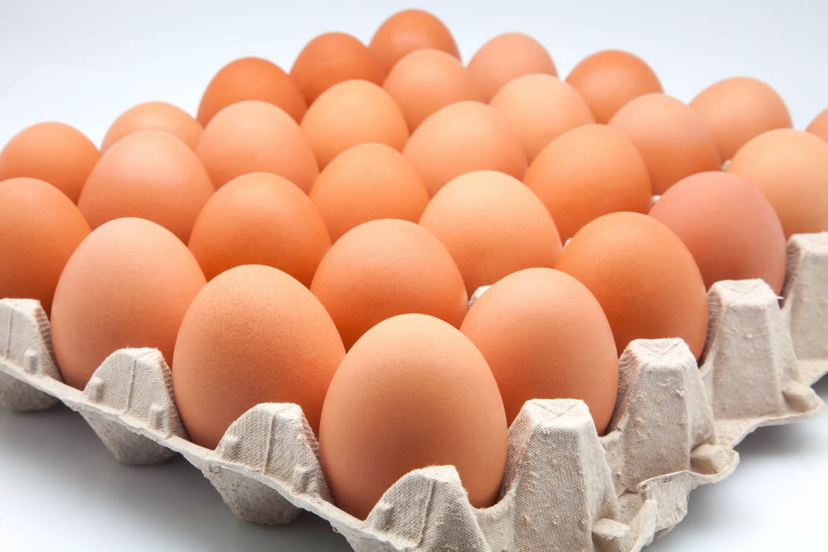 Carton de huevos 30 unidades