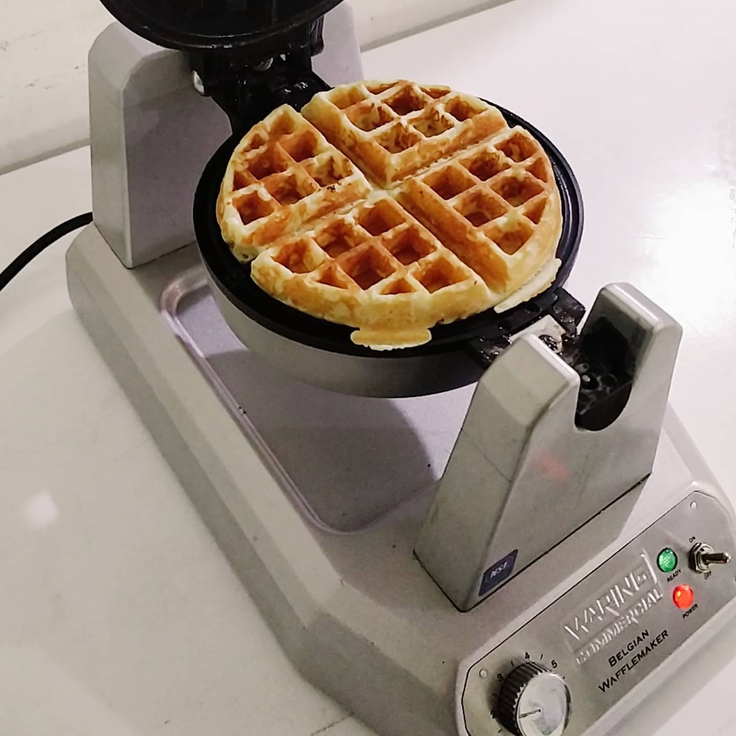 Waffles con Proteína.
