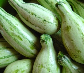 Pipianes