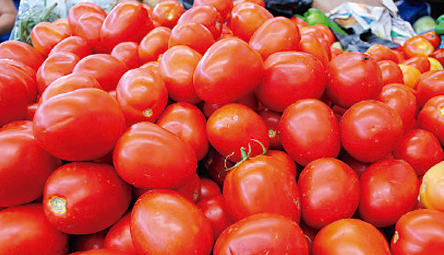 Tomate